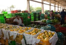 Cotação semanal da Ceaca aponta estabilidade em diversos produtos