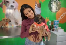 AME Animal realiza mais de 2,7 mil atendimentos somente em setembro
