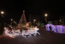 “Caruaru, Natal Iluminado”: espetáculo de luz e celebração marca o lançamento da maior decoração natalina da história da cidade