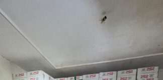 DEFLAGRAÇÃO DA OPERAÇÃO “KARKINOS” DE COMBATE AO CRIME ORGANIZADO E AO CONTRABANDO DE CIGARROS