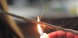 Salão Danny Santtus reforça expertise em Velaterapia, técnica milenar que recupera fios danificados sem cortar o comprimento