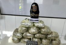 APÓS INFORMAÇÕES REPASSADAS A CENTRAL DISQUE DENÚNCIA, HOMEM É PRESO COM 13kg DE MACONHA