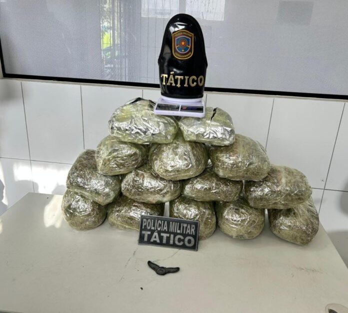 815de0ae-9af9-4769-a940-db2ebed24b74