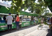 Intercâmbio técnico fortalece a caprinocultura de leite em Caruaru