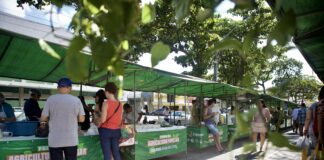 Intercâmbio técnico fortalece a caprinocultura de leite em Caruaru