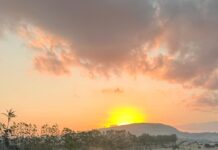 LEILÃO DE NELORE MOVIMENTA SAIRÉ-PE EM ABRIL