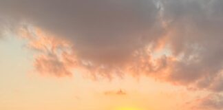 LEILÃO DE NELORE MOVIMENTA SAIRÉ-PE EM ABRIL