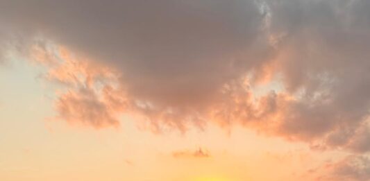 LEILÃO DE NELORE MOVIMENTA SAIRÉ-PE EM ABRIL