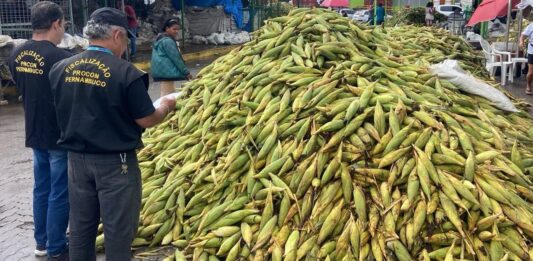 Pesquisa do Procon-PE identifica que milho verde está até 33% mais caro do que no ano passado