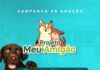 Prefeitura de Caruaru promove evento “Meu Amigão” nos dias 08 e 09 para adoção consciente de pets