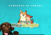 Prefeitura de Caruaru promove evento “Meu Amigão” nos dias 08 e 09 para adoção consciente de pets