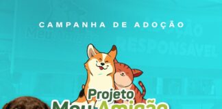 Prefeitura de Caruaru promove evento “Meu Amigão” nos dias 08 e 09 para adoção consciente de pets