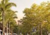 Caruaru terá novo espaço de convivência no centro da cidade