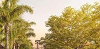 Caruaru terá novo espaço de convivência no centro da cidade