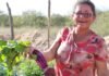 Agricultoras e agricultores de Pernambuco apresentam experiências de resiliência climática e combate à fome para delegação do Quênia