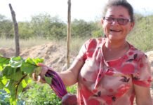 Agricultoras e agricultores de Pernambuco apresentam experiências de resiliência climática e combate à fome para delegação do Quênia